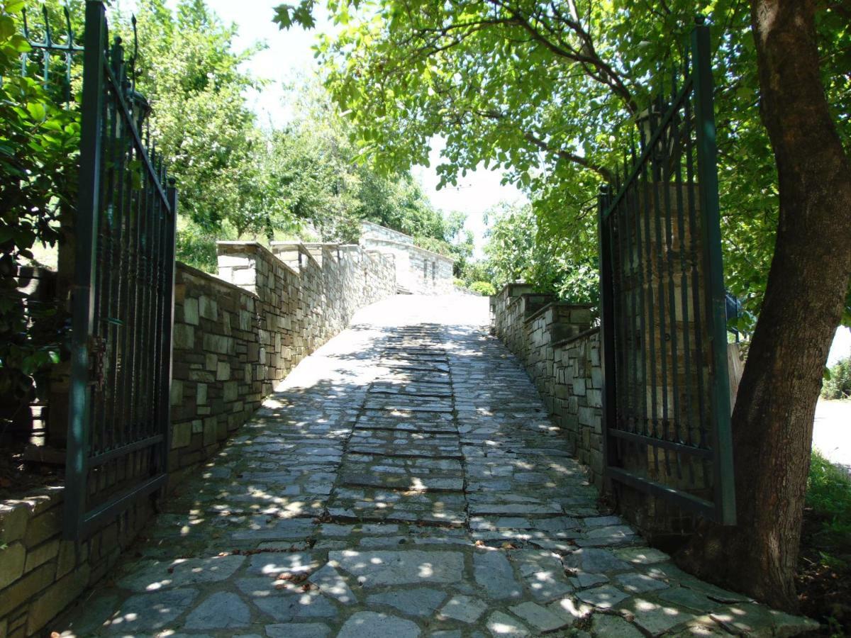 Villa Katerina Цагарада Экстерьер фото